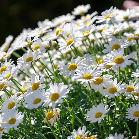 Eggerstueberl Ischgl